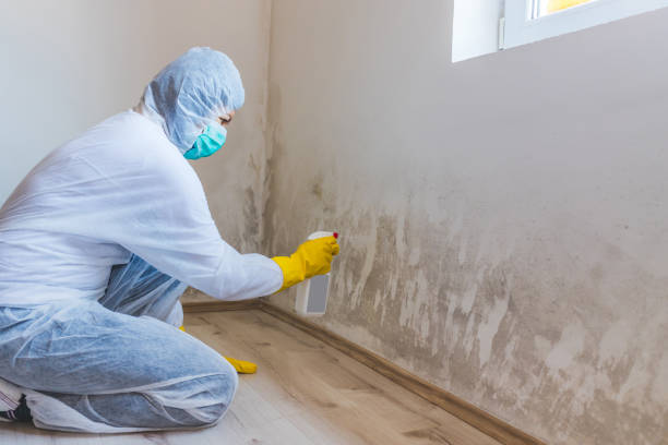 Mold Remediation specialist working in Gresham
